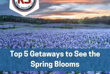 Top 5 Getaways Spring