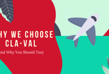 Why We Choose Cla Val